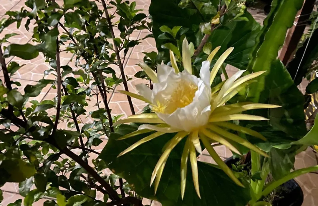 Pousada Fraga-1
