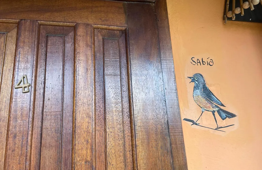 Casa Macabea-1